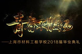 項目匯報片九